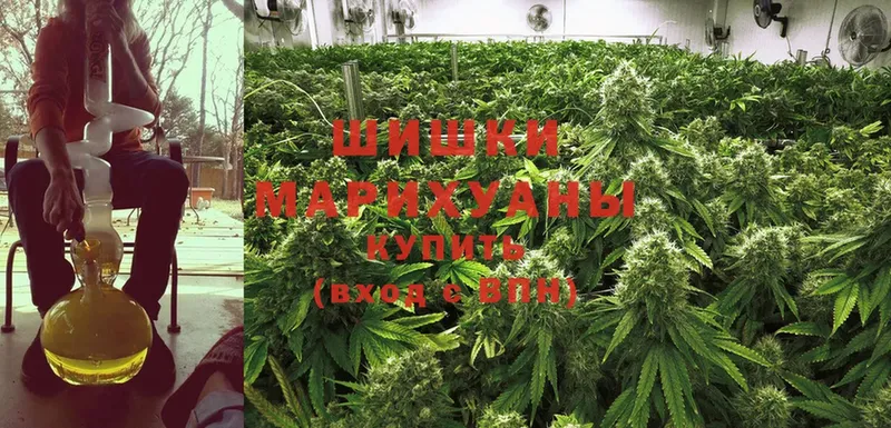 купить наркотик  Белорецк  Бошки Шишки White Widow 